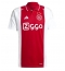 Ajax Brian Brobbey #9 Thuis tenue 2024-25 Korte Mouwen