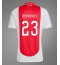 Ajax Steven Berghuis #23 Thuis tenue 2024-25 Korte Mouwen