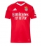 Benfica Joao Neves #87 Thuis tenue 2024-25 Korte Mouwen