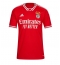 Benfica Thuis tenue 2023-24 Korte Mouwen