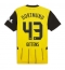 Borussia Dortmund Jamie Bynoe-Gittens #43 Thuis tenue 2024-25 Korte Mouwen