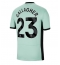 Chelsea Conor Gallagher #23 Derde tenue 2023-24 Korte Mouwen