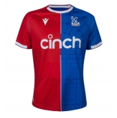 Crystal Palace Thuis tenue 2023-24 Korte Mouwen