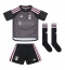 Fulham Alex Iwobi #22 Derde tenue Kids 2023-24 Korte Mouwen (+ broek)