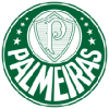 Palmeiras Tenue