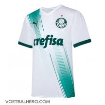 Palmeiras Uit tenue 2023-24 Korte Mouwen