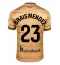 Real Sociedad Brais Mendez #23 Uit tenue 2024-25 Korte Mouwen