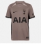 Tottenham Hotspur Brennan Johnson #22 Derde tenue 2023-24 Korte Mouwen