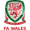 Wales elftal tenue